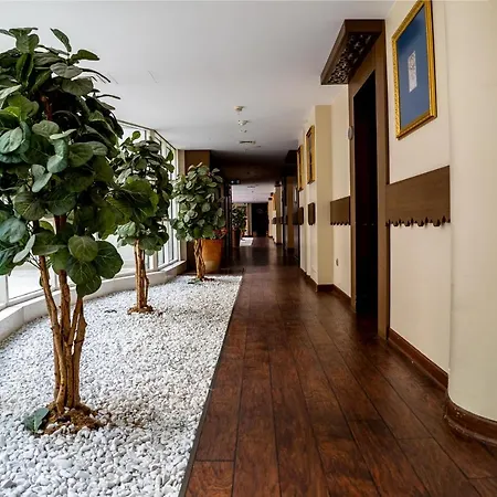 My Palace Airport 3*